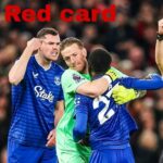 Idrissa Gana Gueye red card for slapping Michael Keane