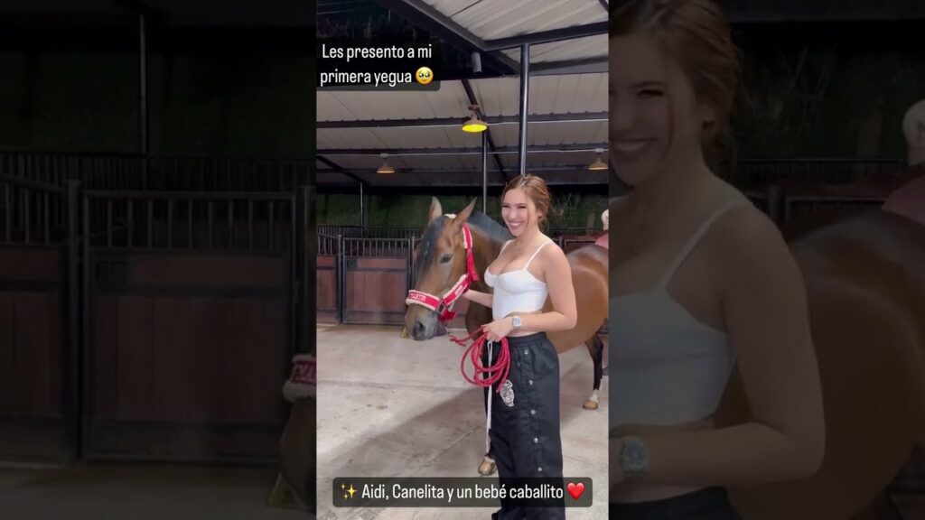 Aída Victoria Merlano horse video leaked
