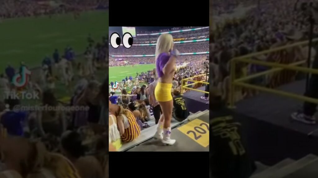 Video : abigail lutz flashes crowd reddit